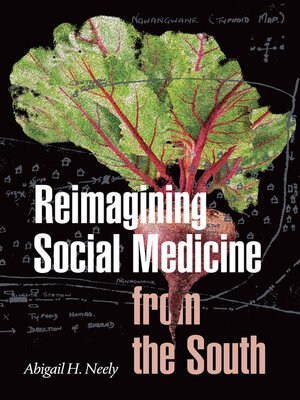 cover image of Reimagining Social Medicine from the South
